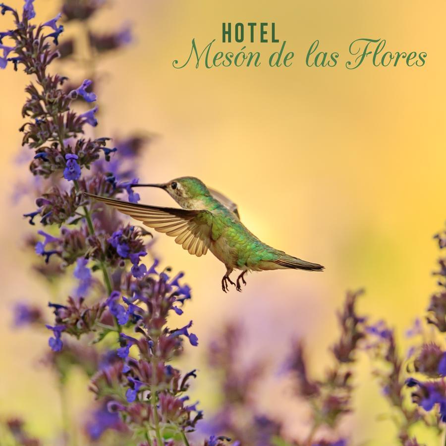 Hotel Meson De Las Flores Armenia  Bagian luar foto