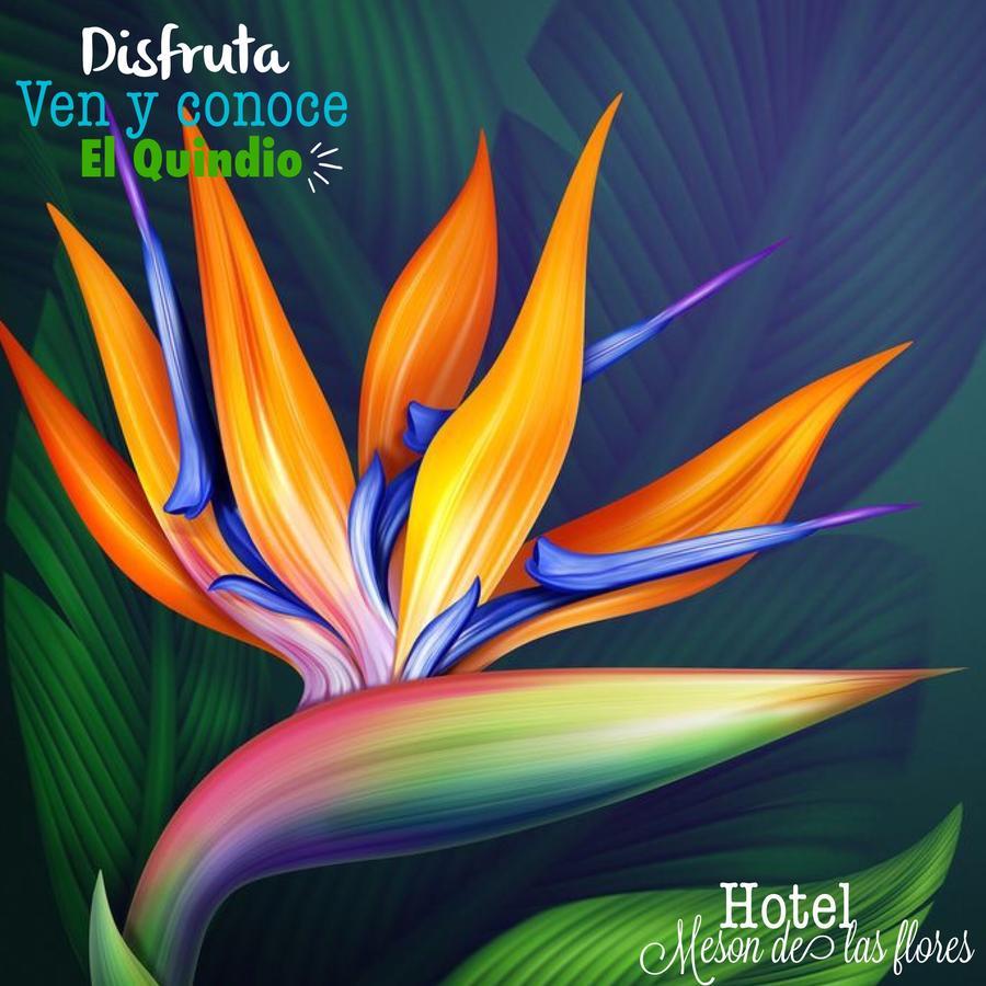 Hotel Meson De Las Flores Armenia  Bagian luar foto
